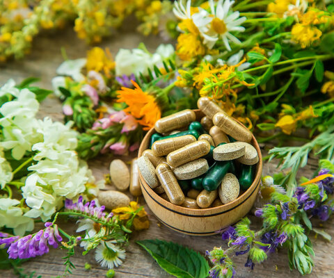 Eine Schale mit Vitaminpillen, die inmitten von Pflanzen steht.