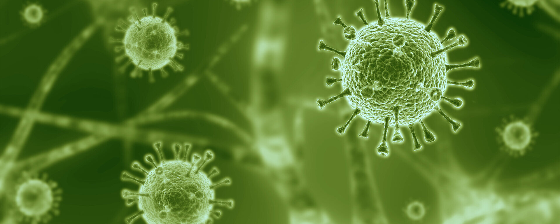 Auf einem grünen Hintergrund sind Viren zu sehen.