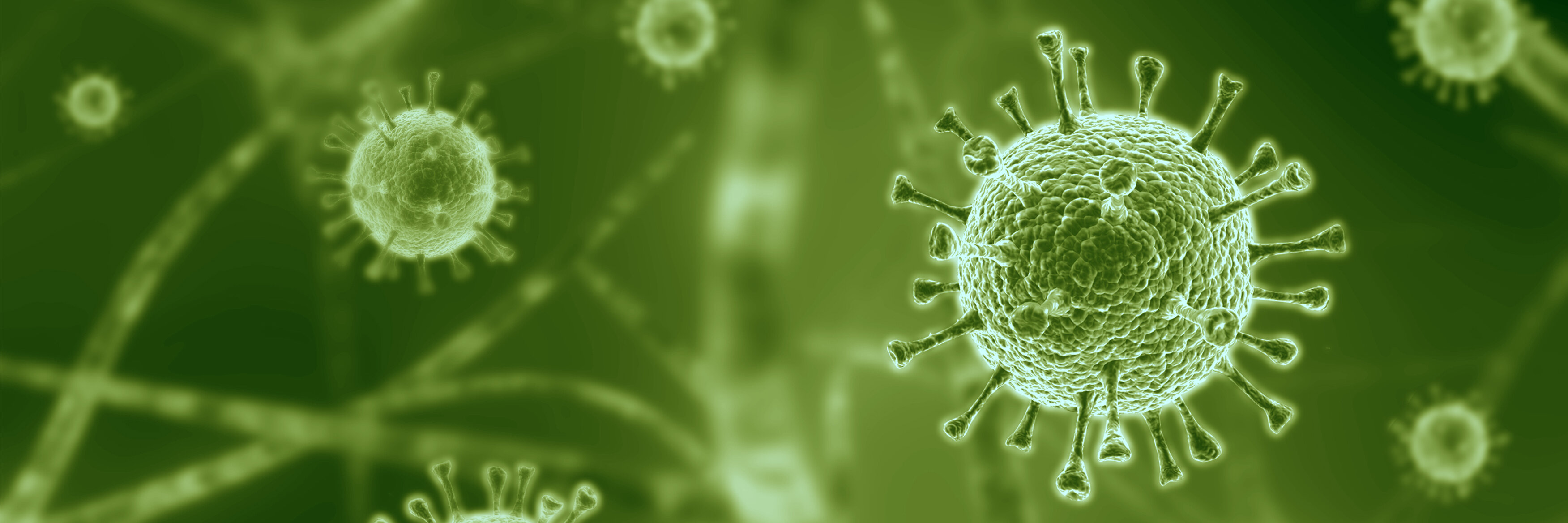 Auf einem grünen Hintergrund sind Viren zu sehen.