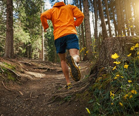 Ein Mann betreibt Trailrunning durch den Wald.
