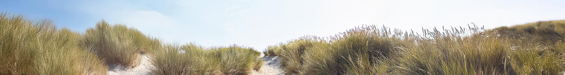 Ein Sandweg zwischen einer Düne.