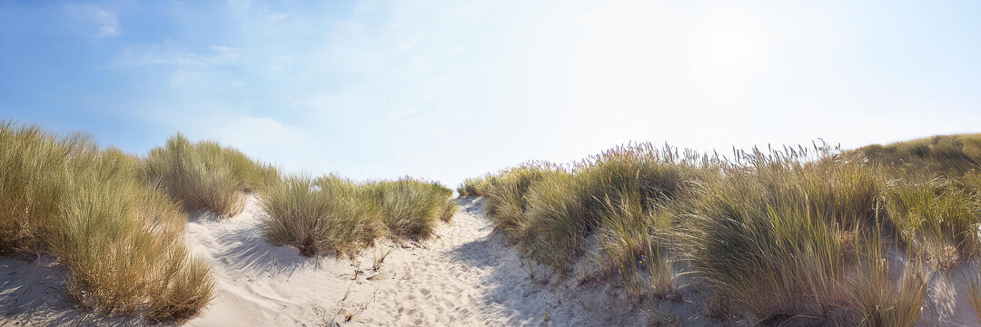 Ein Sandweg zwischen einer Düne.