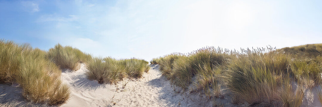 Ein Sandweg zwischen einer Düne.
