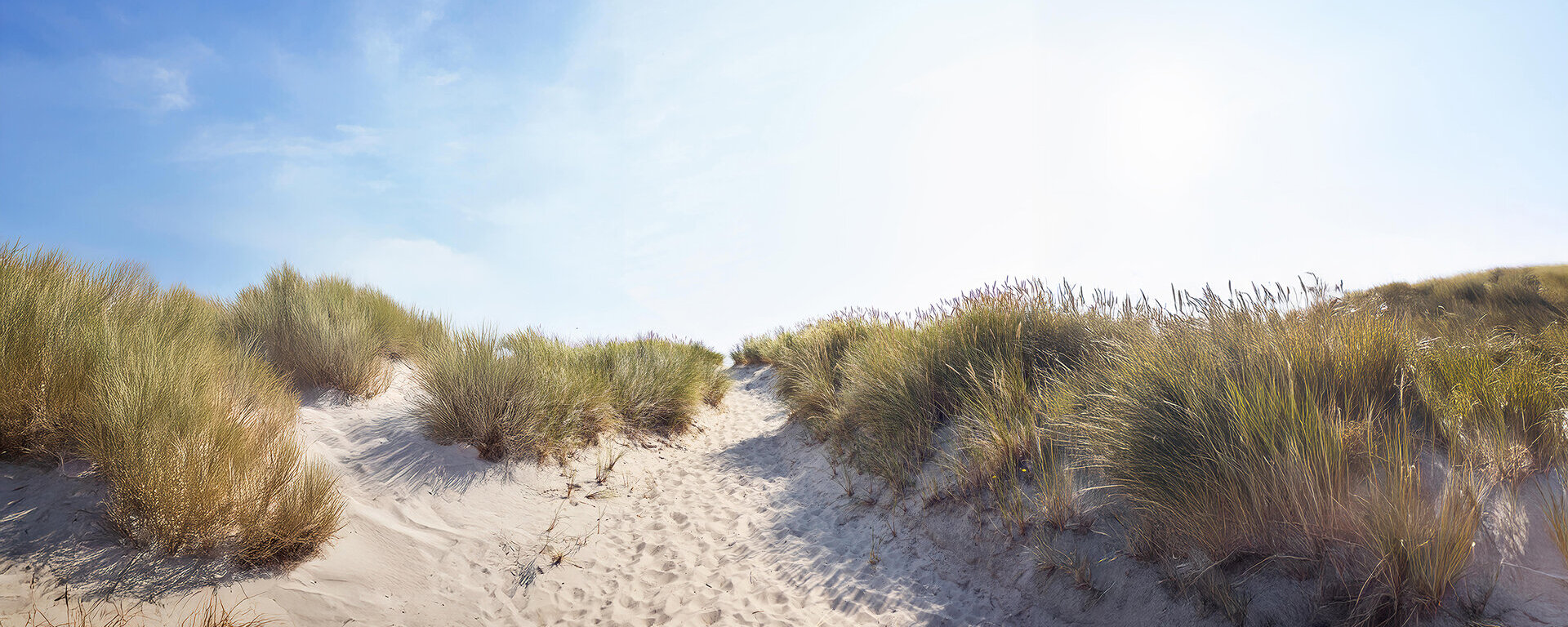 Ein Sandweg zwischen einer Düne.