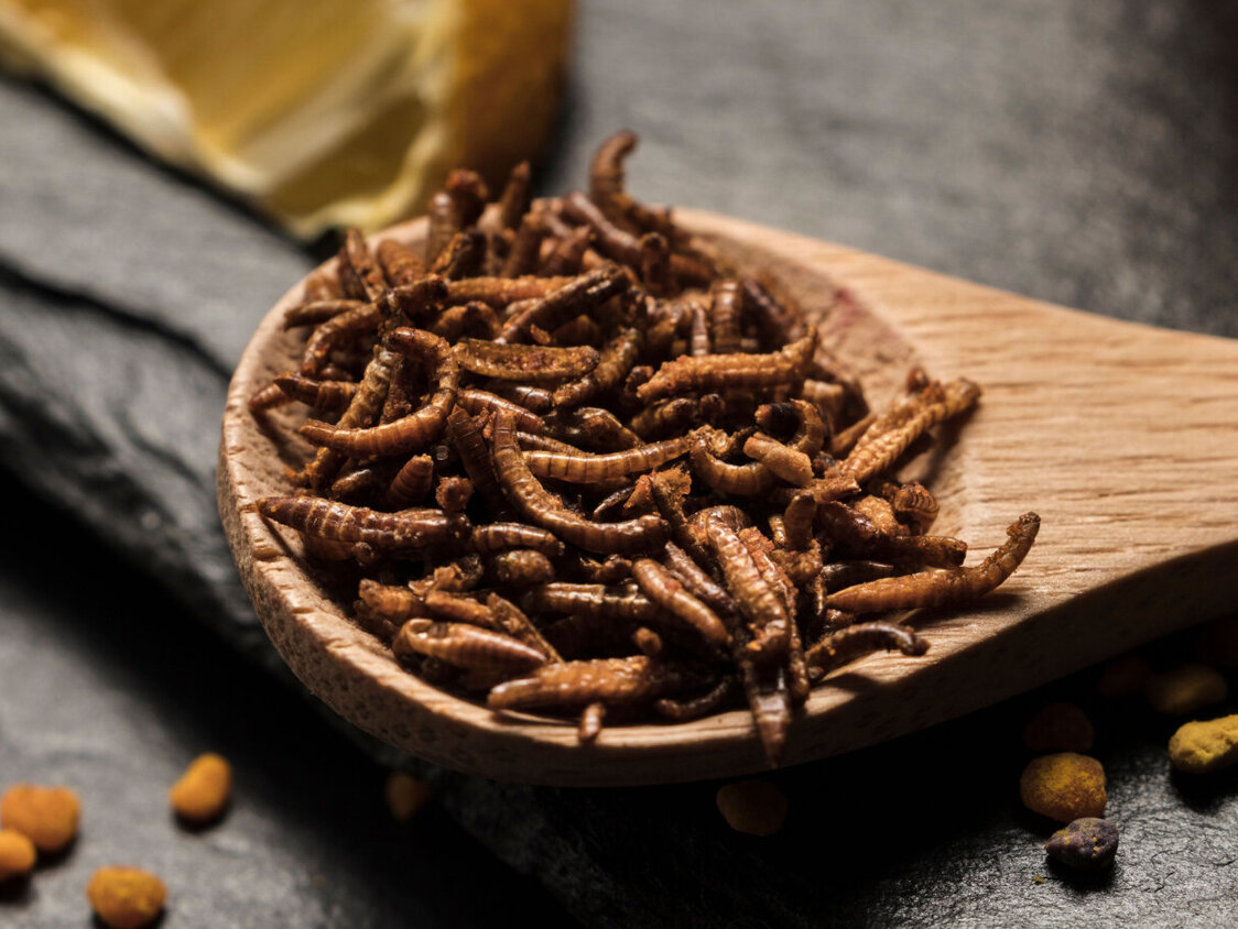 Auf einem Holzlöffel sind getrocknete Insekten.