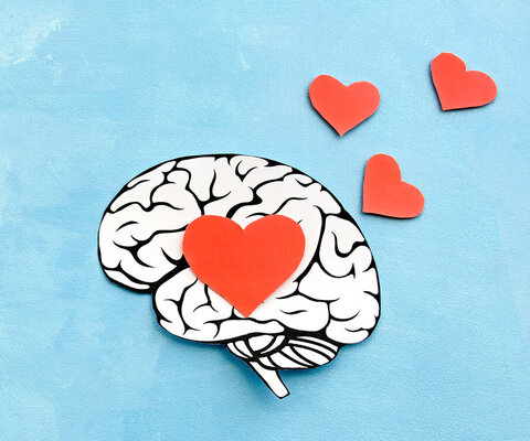 Ein Gehirn, gezeichnet auf einem blauen Untergrund mit roten Herzen.