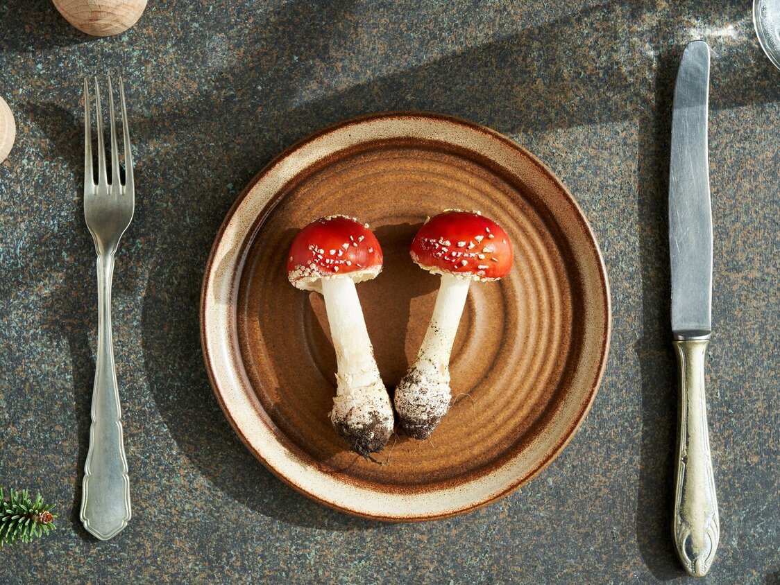 Zwei junge Fliegenpilze auf einem Teller mit Messer und Gabel.