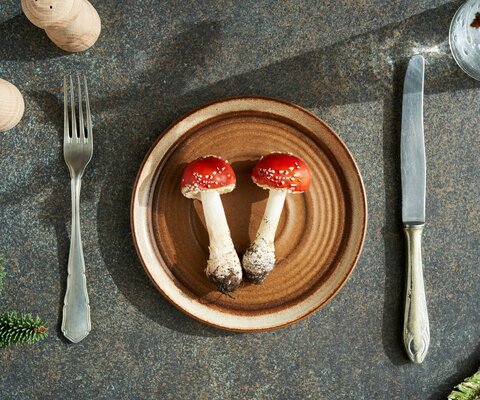 Zwei junge Fliegenpilze auf einem Teller mit Messer und Gabel.