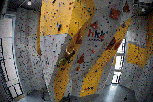 Personen klettern an einer Kletterwand in einer Kletterhalle.