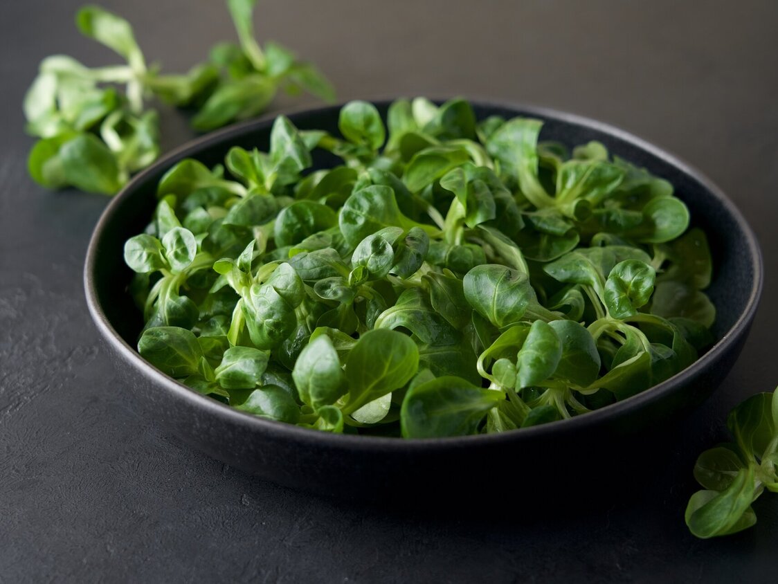 Feldsalat in einer grauen Schale.