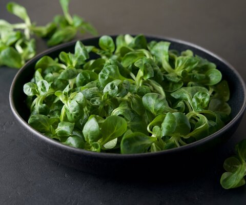 Feldsalat in einer grauen Schale.